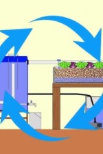 Hydroponic and aquaponic systems