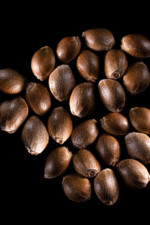 UnionJah Cannabis Store